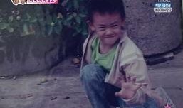 维尼夫妇最新爆料,揭秘甜蜜背后的真实故事